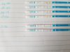 20170407_101613.jpg
