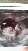 2017-04-10 19.52.50.jpg