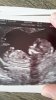 2017-04-10 19.53.14.jpg
