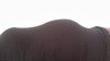 20170413_084638.jpg