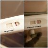 PhotoGrid_1492335183327.jpg