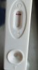 IMG-20170425-WA0026-1.jpg