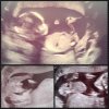 PhotoGrid_1493209168939.png