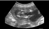 26-04-2017 19.50 - Copy.jpg