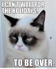 i-cant-wait-for-the-holidays-grumpy-cat.jpg