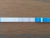 20170429_113515-01.jpeg