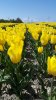 20170429_140017.jpg