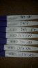 Opgedroogd 29-4.jpg