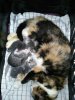 IMG_20170501_25825.jpg
