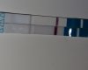 20170510_065116-01.jpeg