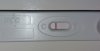 20170511_064245-01.jpeg