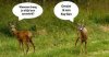 FB_IMG_1494537265030.jpg