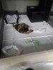 IMG_20170514_34516.jpg