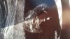 IMG-20170508-WA0005.jpeg