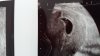 IMG-20170524-WA0007.jpeg