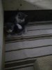 IMG_20170525_4640.jpg