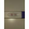 PhotoGrid_1495737873725.png