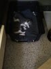 IMG_20170526_4693.jpg