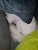 FB_IMG_1495937421352.jpg