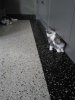 IMG_20170528_862.jpg