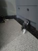 IMG_20170528_24899.jpg