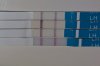 20170530_090505-01.jpeg