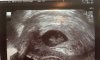 baby copy.jpg