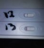 1213DPO.jpg