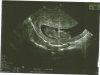 Scan0003.jpg