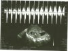 Scan0002.jpg