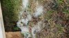 20170608_195134.jpg