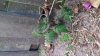20170608_195147.jpg