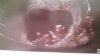 IMG-20170609-WA0004.jpeg
