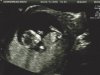 scan 1.jpg