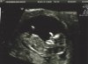 scan 2.jpg