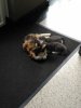 IMG_20170616_29969.jpg
