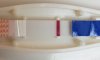 20170617_094439.jpg