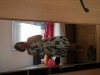 IMG_1952.JPG
