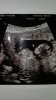 IMG-20170622-WA0009.jpeg