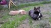 20170516_174744.jpg