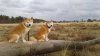 20170203_145648.jpg