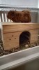 IMG-20170607-WA0037.jpg
