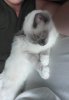 IMG-20170622-WA0021-1.jpg