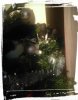IMG_20161227_113002.jpg