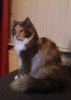 20170623_131305.jpg