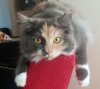 20170623_131352.jpg