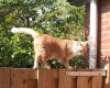 20170623_131217.jpg