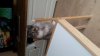 20151104_124834.jpg