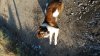20161205_105205.jpg