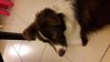 20170103_214234.jpg